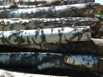 Similar image 6326311