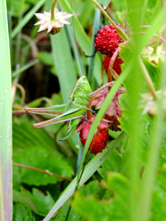 Similar image 6326317