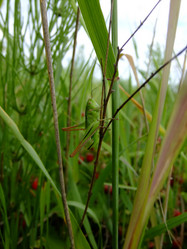 Similar image 6326318