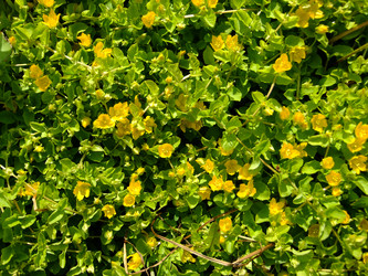 Similar image 6326322