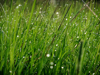 Similar image 6326323