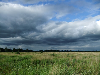 Similar image 6326326