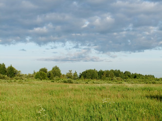 Similar image 6326331