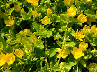 Similar image 6326333