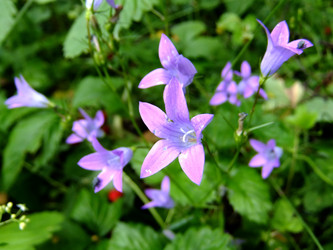 Similar image 6326351