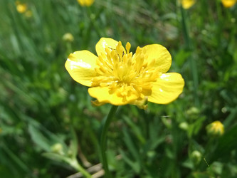 Similar image 6326434