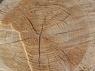 Similar image 6326439