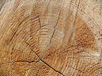 Similar image 6326440