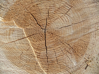 Similar image 6326441