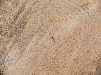 Similar image 6326442