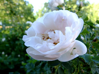 Similar image 6326443