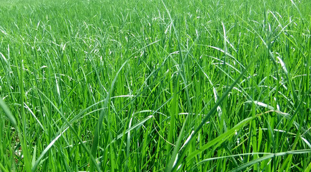 Similar image 6326447