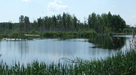 Similar image 6326449