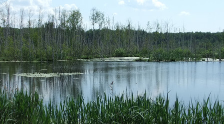 Similar image 6326450