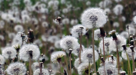 Similar image 6326452