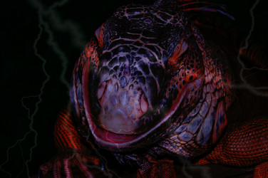 Similar image 6326684