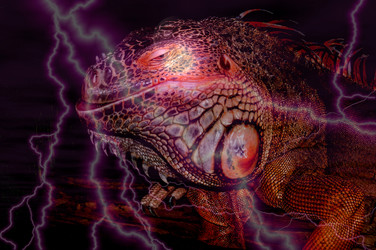 Similar image 6326686