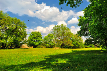 Similar image 6326918