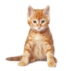 Similar image 6326992