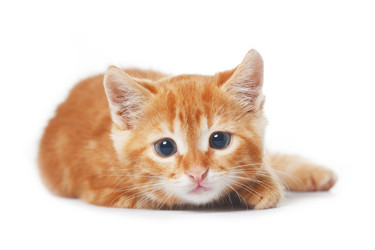 Similar image 6327000