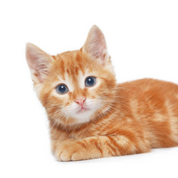 Similar image 6327001