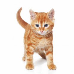 Similar image 6327006