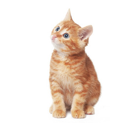 Similar image 6327007