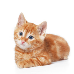 Similar image 6327008