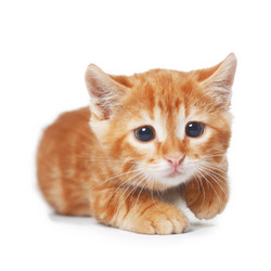 Similar image 6327009