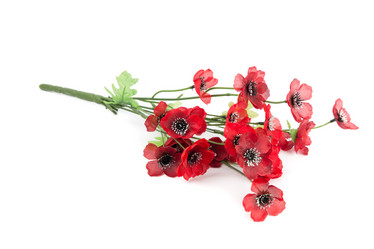 Similar image 6327138