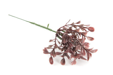 Similar image 6327141