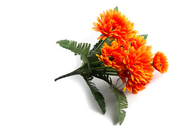 Similar image 6327146