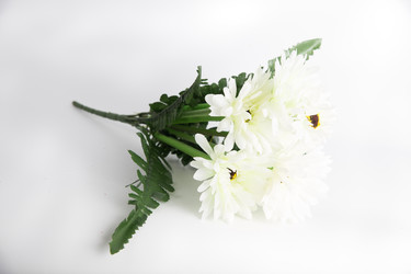 Similar image 6327147