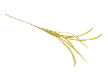 Similar image 6327149