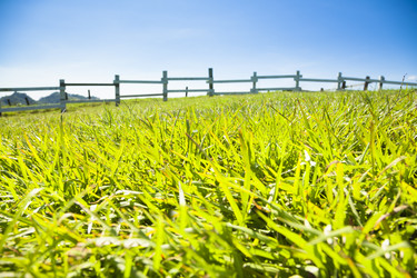 Similar image 6327478