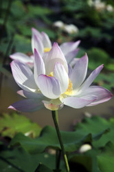 Similar image 6327731