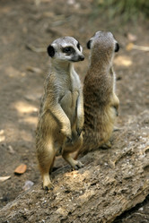 Similar image 6327734