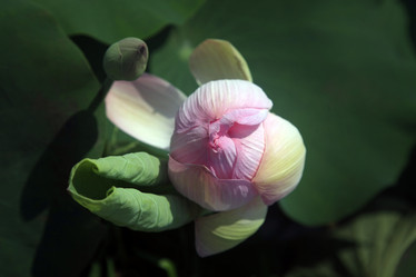 Similar image 6327740