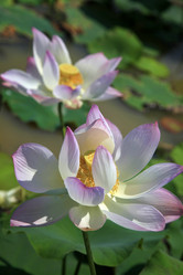 Similar image 6327741