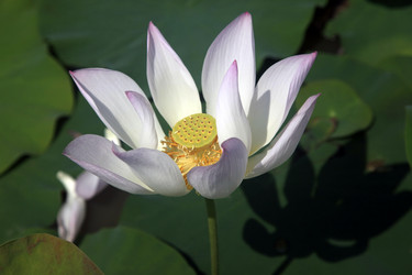 Similar image 6327742