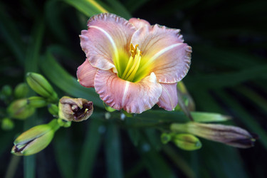 Similar image 6327760