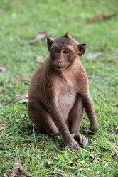 Similar image 6327771