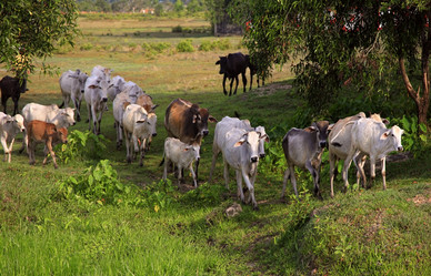 Similar image 6327901