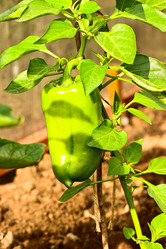 Similar image 6327925