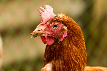 Similar image 6327926