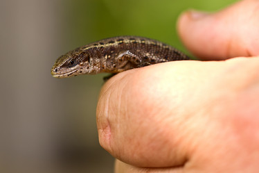 Similar image 6327928