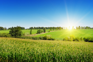 Similar image 6327989