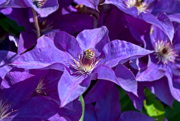 Similar image 6328028