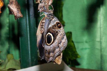 Similar image 6328044