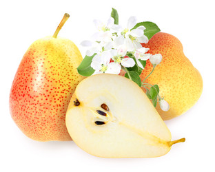 Similar image 6328057